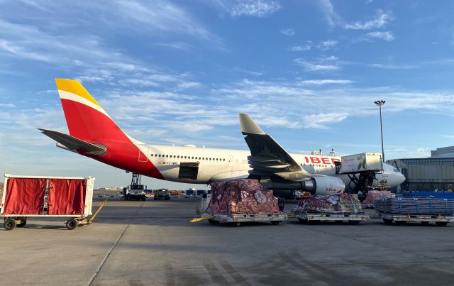 Airbus A330-200 (EC-MMG) - 02/10/24