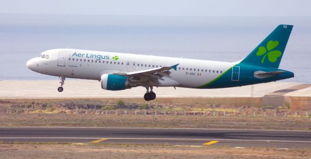 Airbus A320 (EI-DEE)
