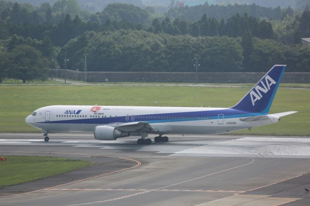 BOEING 767-300 (JA603A)