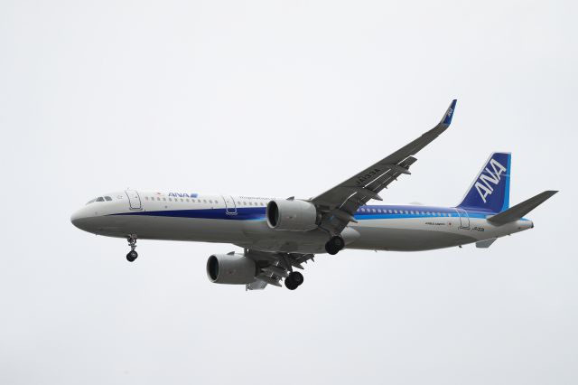 Airbus A321 (JA133A) - July 6th 2018:HND-HKD.