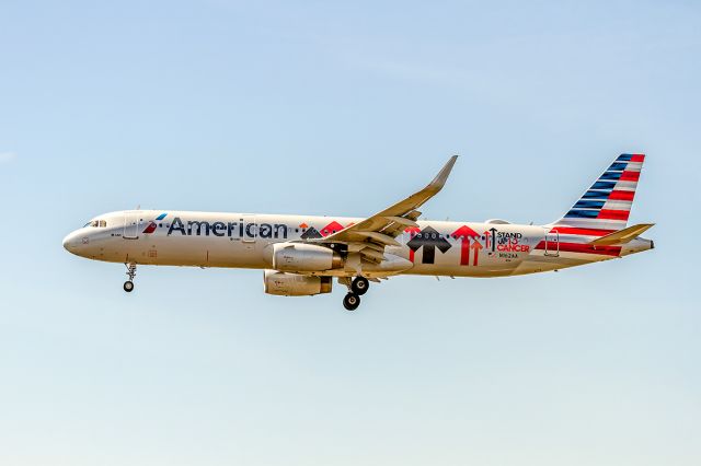 Airbus A321 (N162AA) - Stand Up to Cancer