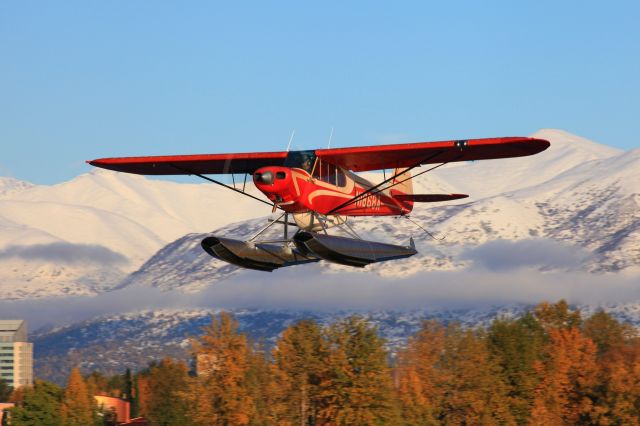 Piper L-21 Super Cub (N1868A)