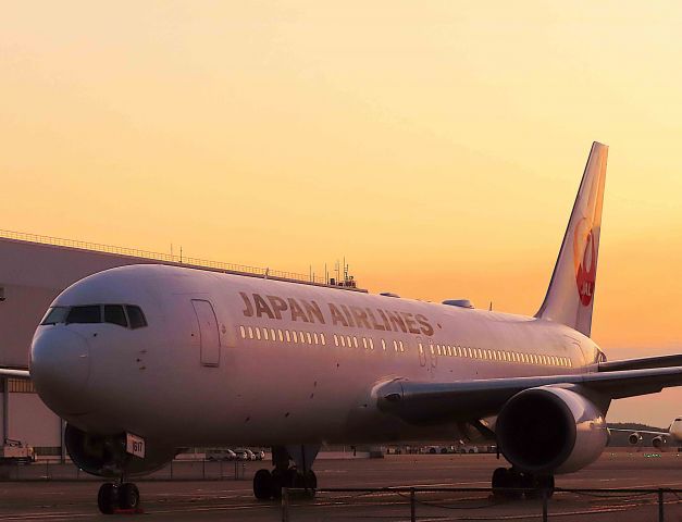 BOEING 767-300 (JA617J) - I took this picture on Jan 11, 2020.