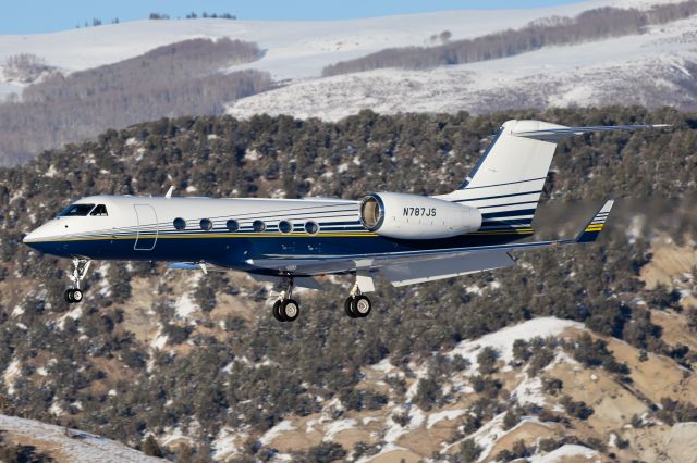 Gulfstream Aerospace Gulfstream IV (N787JS)