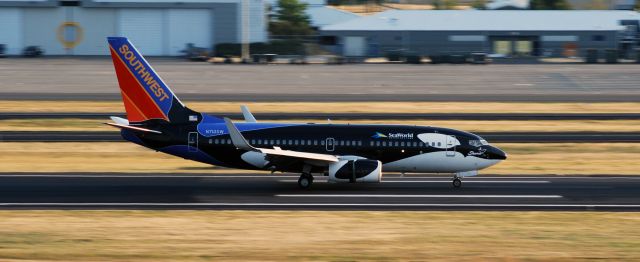 Boeing 737-700 (N713SW) - Southwest Airlines Boeing 737-7H4 landing at Portland International Airport