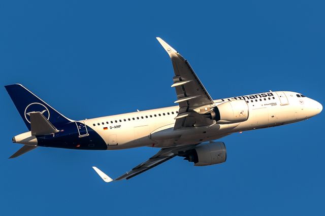 Airbus A320 (D-AINP)