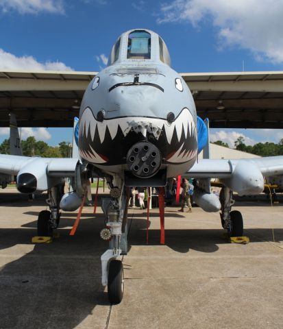 Fairchild-Republic Thunderbolt 2 (AFR80188) - A 74th Fighter Squadron Fairchild-Republic A-10 Thunderbolt II, on the 187th Tactical Fighter Wings ramp at Dannelly Field, Montgomery Regional Airport, AL, during the rehearsals for the 2018 Red Tails Over Montgomery Airshow - September 7, 2018.