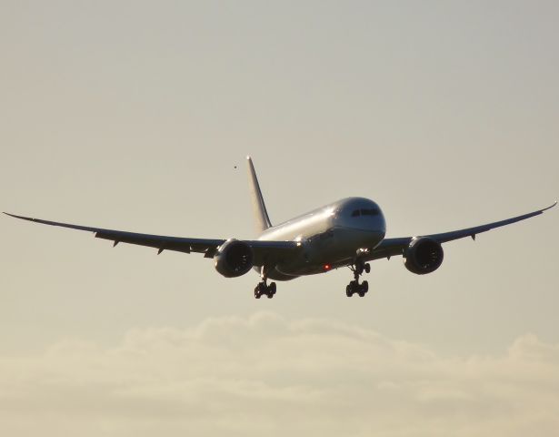 Boeing 787-8 (N787FT)