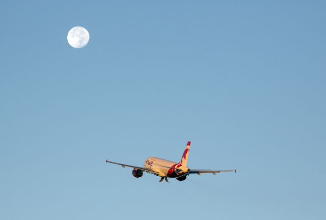 Airbus A319 (C-GKOB) - To the Moon! This early morning departure from Los Angeles (LAX runway 24R) is taking off from runway 24R. Its really going to Canada. 8 Nov 2014