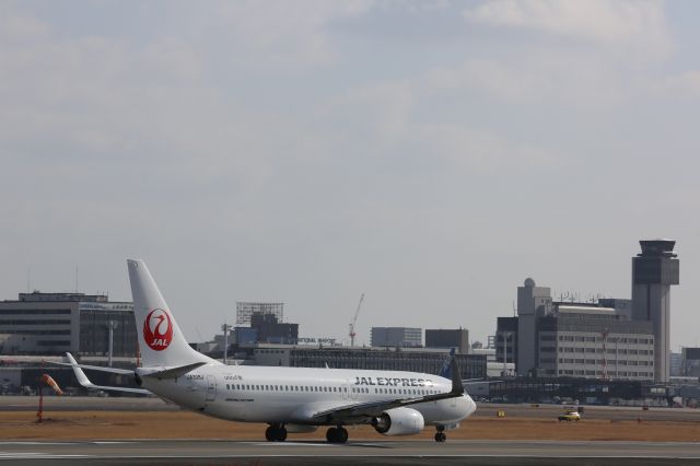 Boeing 737-800 (JA308J)