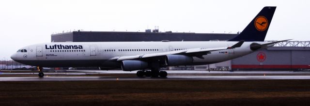 Airbus A340-300 (D-AIGZ)