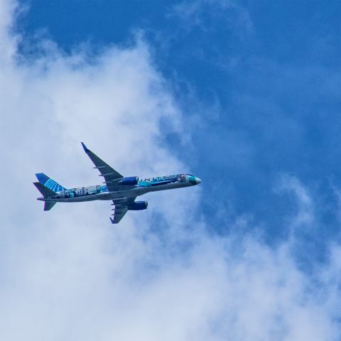 Boeing 757-200 (N14102) - Subject aircraft operating as Flight UAL977/UA977, photographed on 15-Aug-2022 at 1417HrsEDT, over Northern New Jersey, on approach to EWR.br /br /Livery designed by New Jersey artist Corinne Antonelli for United's Her Art Here NY/NJ.