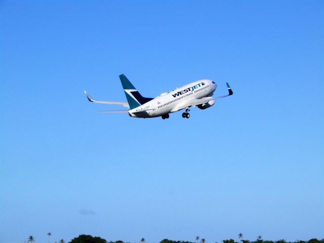 Boeing 737-700 (C-FWSF)