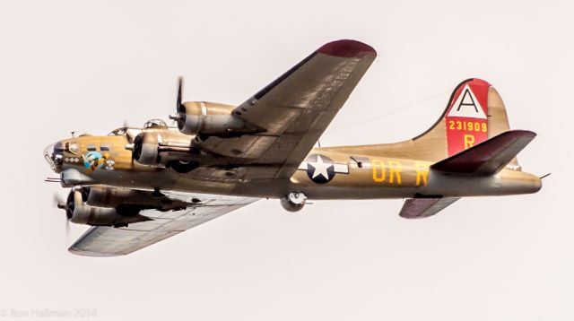 Boeing B-17 Flying Fortress (N93012) - Collings Foundation