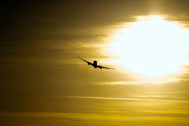 BOEING 777-300ER (A7-BEF)