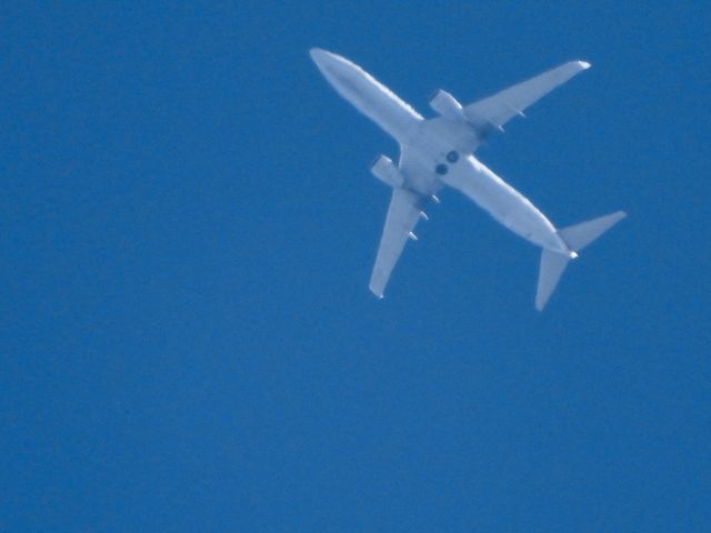 Boeing 737-800 (N818NN) - AAL998br /DFW-JFKbr /07/23/22