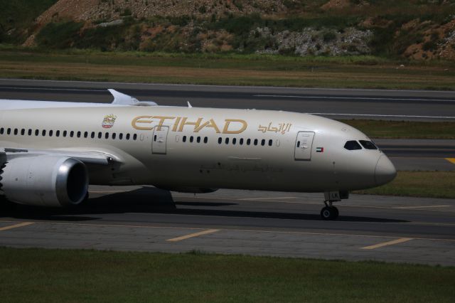 Boeing 787-9 Dreamliner (A6-BLK)