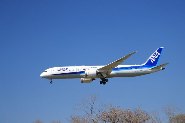 Boeing 787-9 Dreamliner (JA833A) - May 20th 2018:HND-HKD.