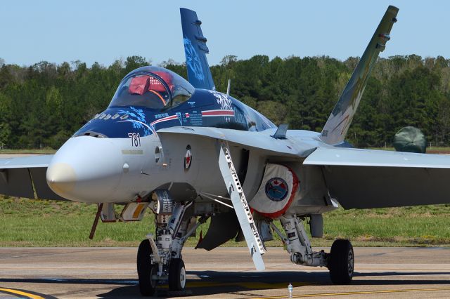 McDonnell Douglas FA-18 Hornet (18-8781) - LRAFB airshow, September 2012