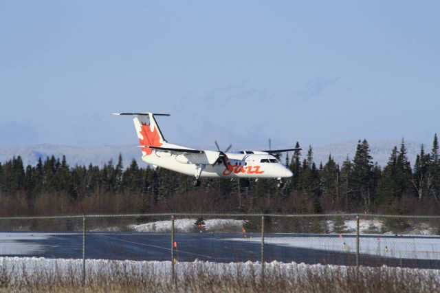 de Havilland Dash 8-100 —