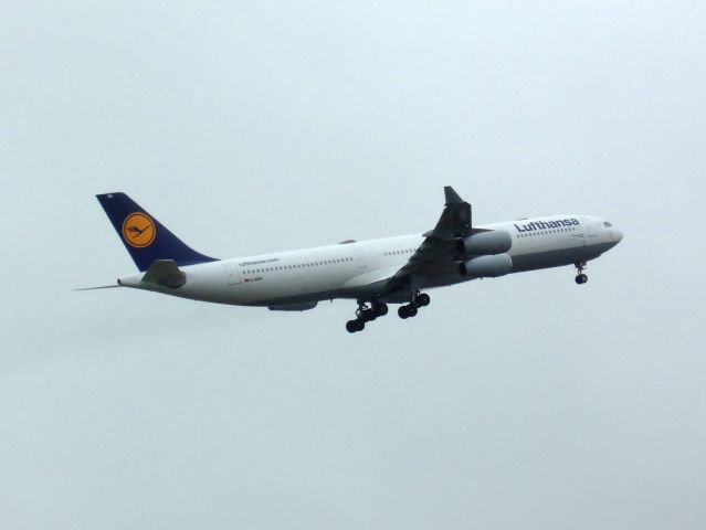 Airbus A340-300 (D-AIFA)