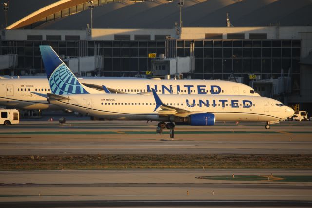 Boeing 737-800 (N87513)