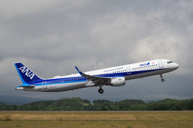 Airbus A321 (JA112A) - August 11th 2018:HKD-ITM.