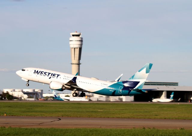 Boeing 737-800 —