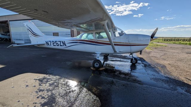 Cessna Skyhawk (N725ZN) - Plane just had a washing.