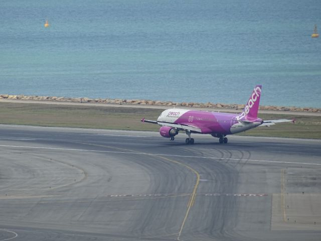 Airbus A320 (JA805P)
