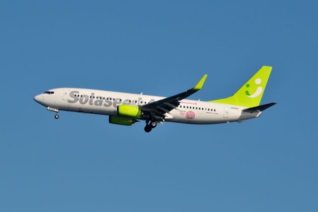 Boeing 737-800 (JA806X) - 2014/1/11