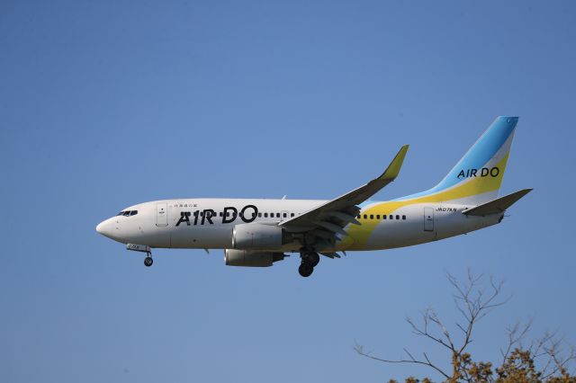 Boeing 737-700 (JA07AN) - May 30th 2020:HND-HKD.