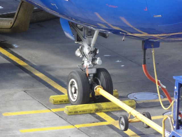 Airbus A319 (N814UA) - At Gate 89