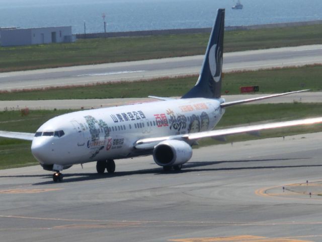 Boeing 737-700 (B-5117)