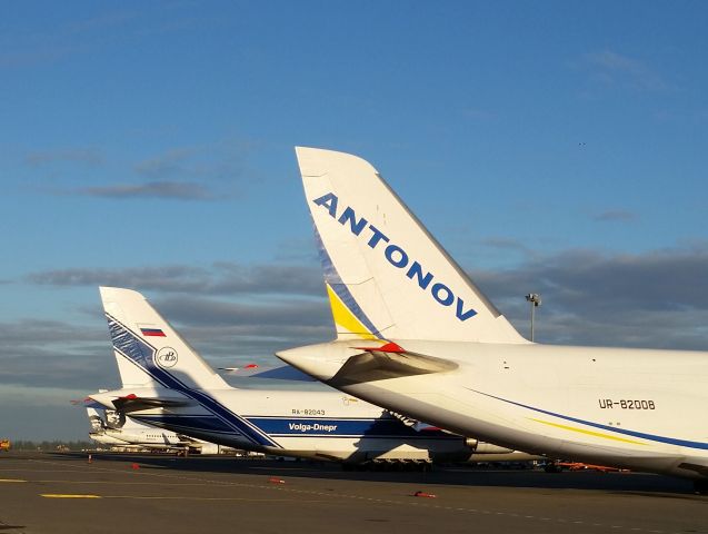 Antonov An-12 (UR-82008) - I wonder if these flight crews are booked at the same hotel?? Hope not.