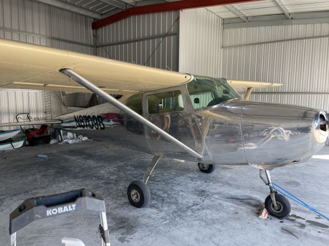 Cessna Skyhawk (N8709B) - Shiny Bird in the nest