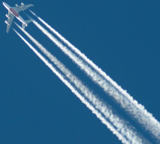 Airbus A380-800 (A6-EDC) - UAE202  A6-EDC   A38.8    @ 37000ft over MCT   25.11.08 at 10.15 GMT