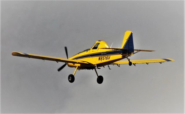 AIR TRACTOR AT-503 (N8516V) - Santa Maria Island International Airport - LPAZ - Azores 23/04/2021