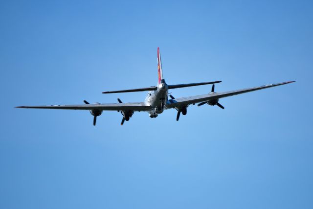 Boeing B-17 Flying Fortress (N5017N)