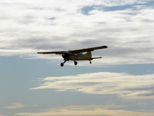 De Havilland Canada DHC-2 Mk1 Beaver — - Division of Forestry sharp looking.