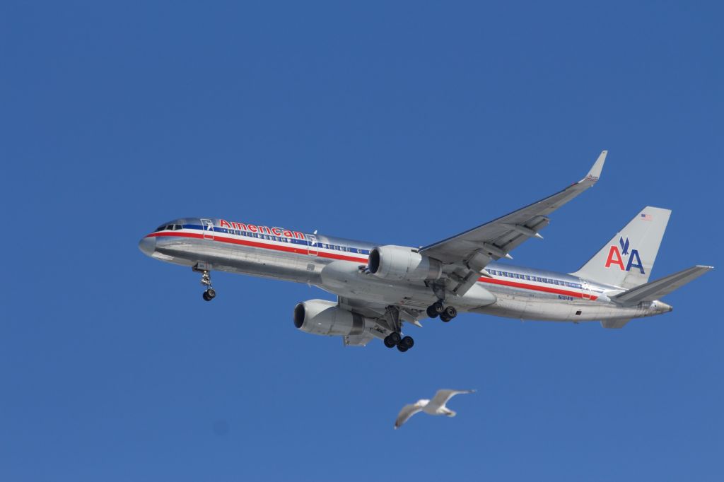 Boeing 757-200 (N191AN) - 2/17/14 - Final Approach to JFK 31R from Costco Parking Lot br /Nice bird in foreground!