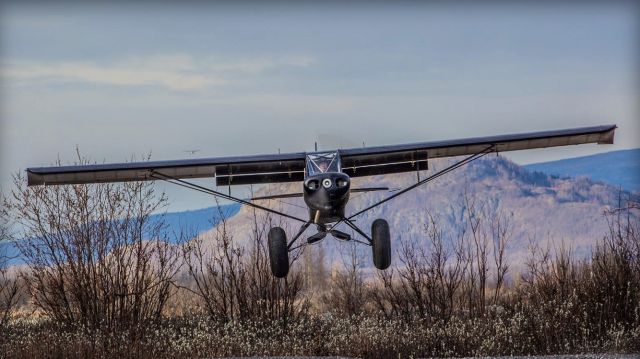 Piper L-21 Super Cub (N8976D) - ACME CUB TRAINING