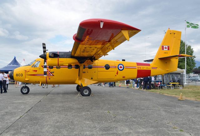 De Havilland Canada Twin Otter (N13803) - Chilliwack Air Show - Flight Fest 2013