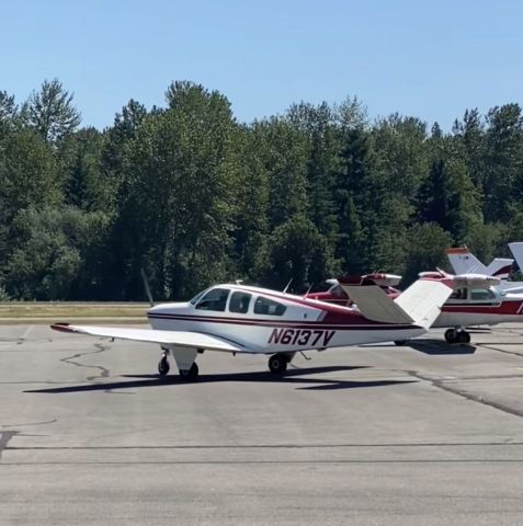 Beechcraft 35 Bonanza (N6137V)