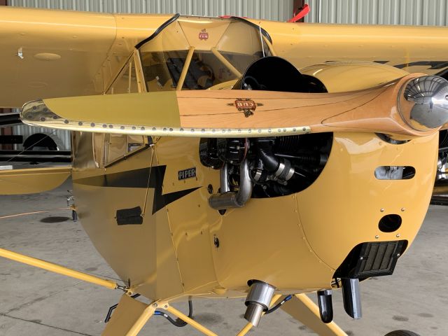 Piper NE Cub (N24500)