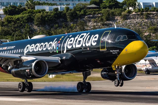 Airbus A320 (N706JB) - This Peacock Can Fly