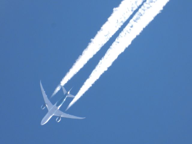 Boeing 787-9 Dreamliner (C-GKKN) - WJA2310br /YYC-CUNbr /11/29/21