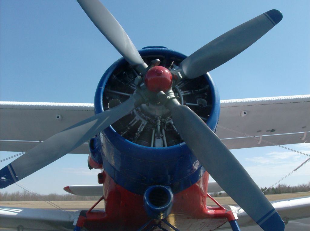 Antonov An-2 (N70520N)