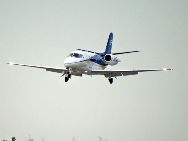 Cessna Citation Excel/XLS (N509UP)