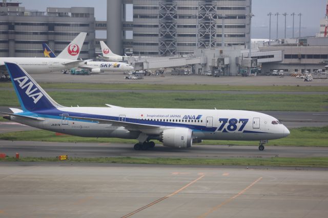 Boeing 787-8 (JA817A)